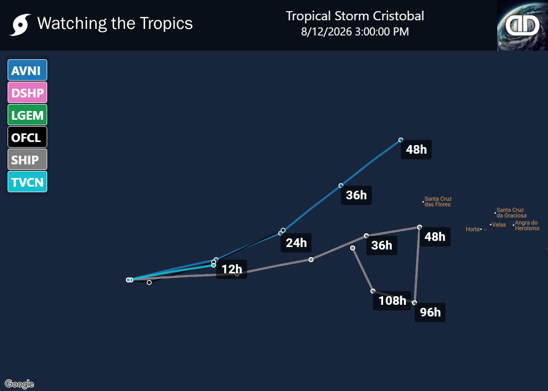Storm Tropical Storm Cristobal Spaghetti Models