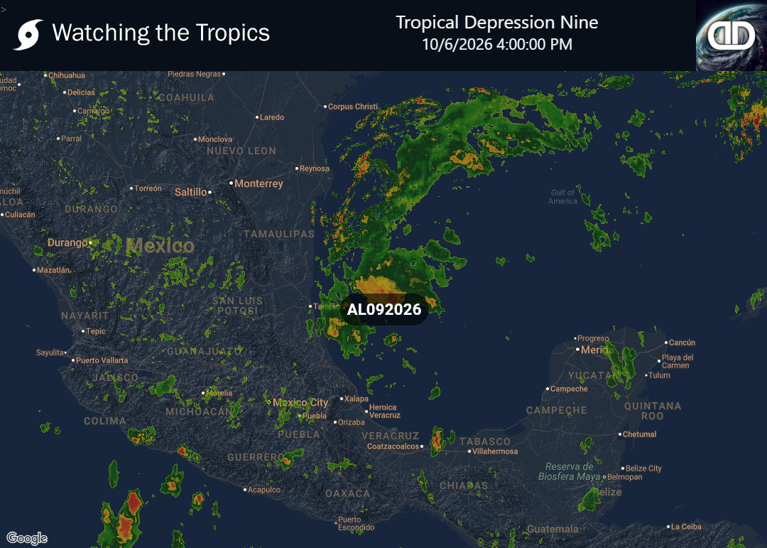 Storm Tropical Depression Nine Precipitation
