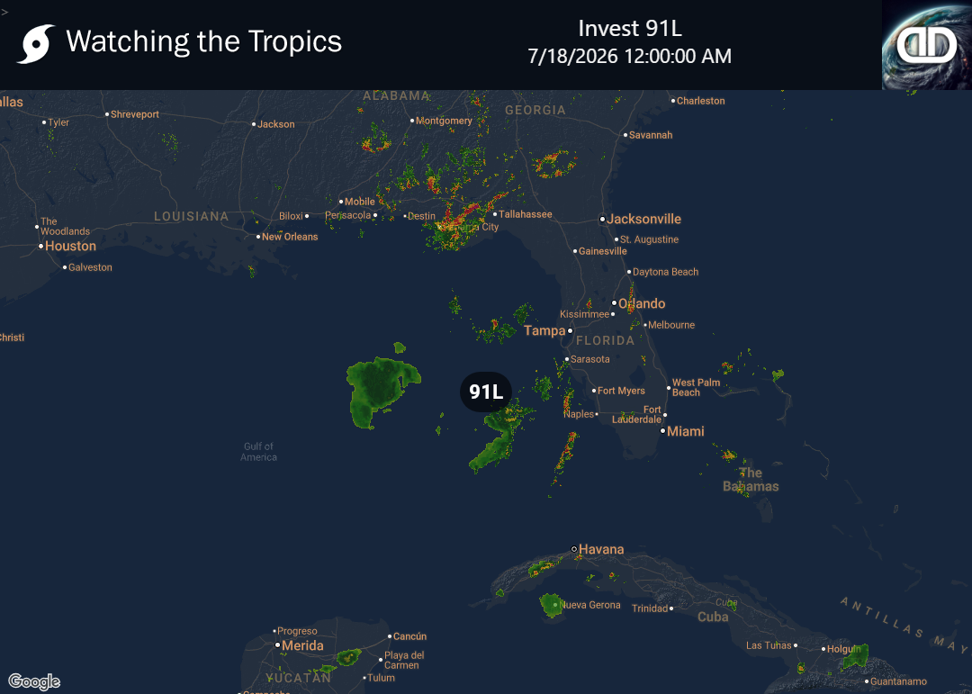 Storm Invest 91L Precipitation