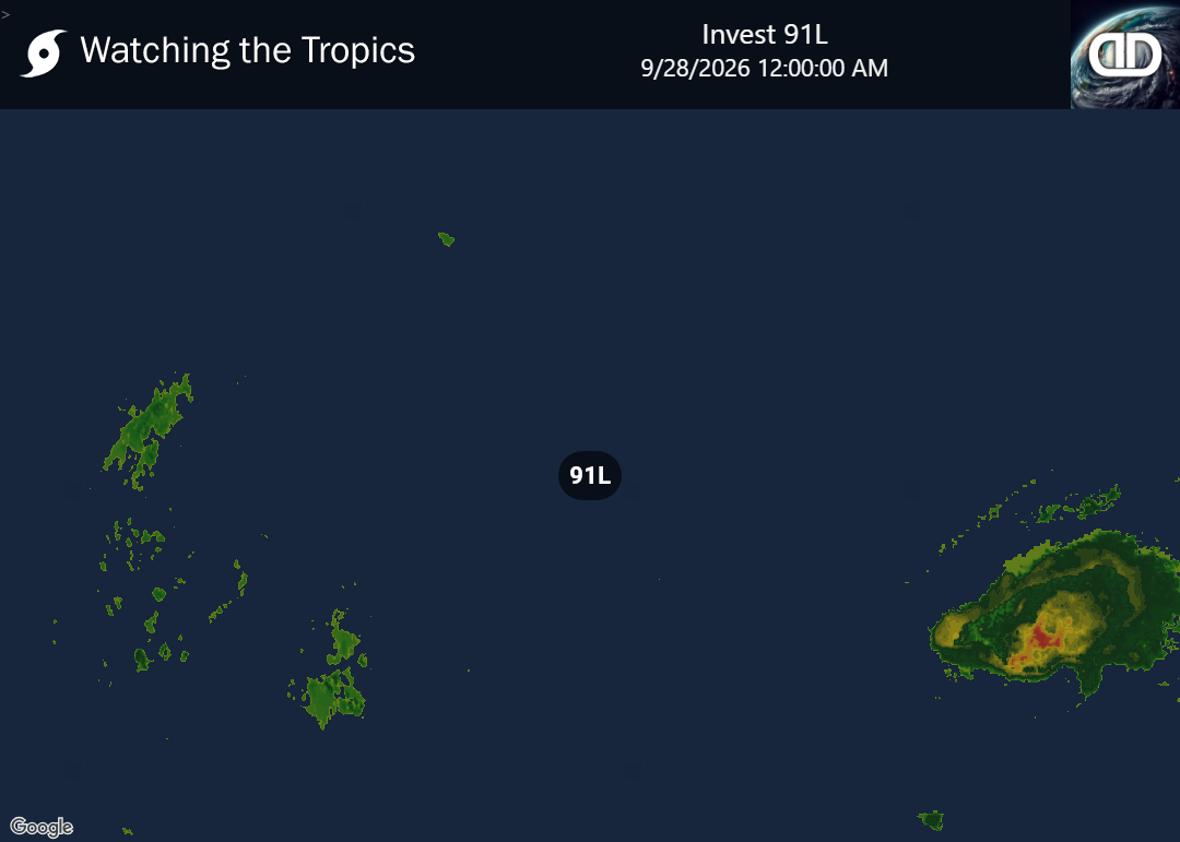 Storm Invest 91L Precipitation
