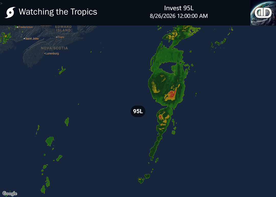 Storm Invest 95L Precipitation
