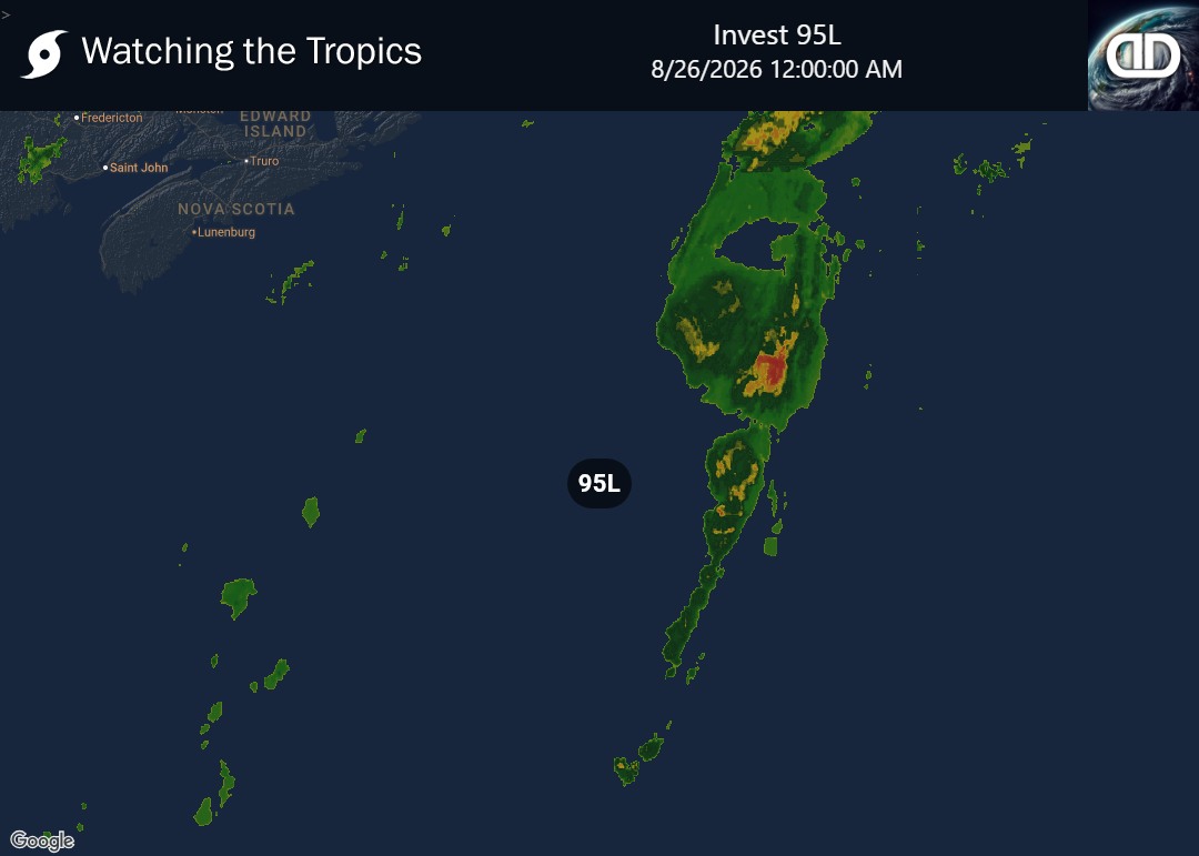 Storm Invest 95L Precipitation