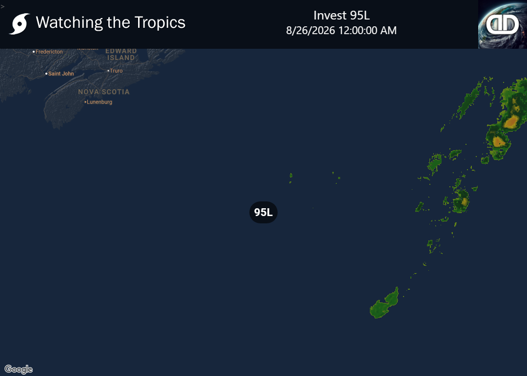 Storm Invest 95L Precipitation