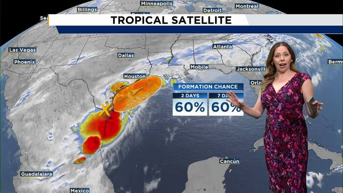 Chances increase for Invest 90L to develop in the Gulf Image