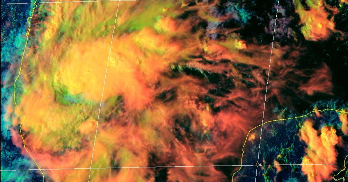 Tropical Depression 9 forms in Gulf. What does that mean for Texas? Image