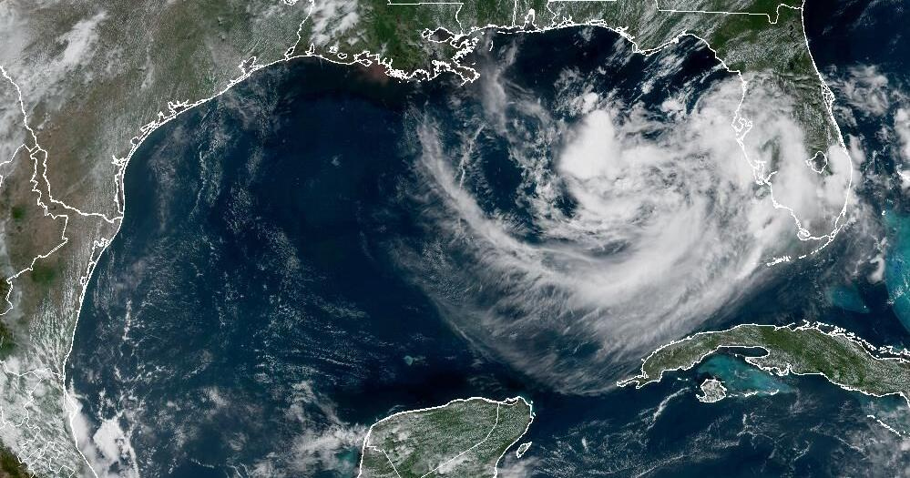 Invest 91L expected to dump heavy rain on Florida’s Gulf Coast. See latest development chances Image