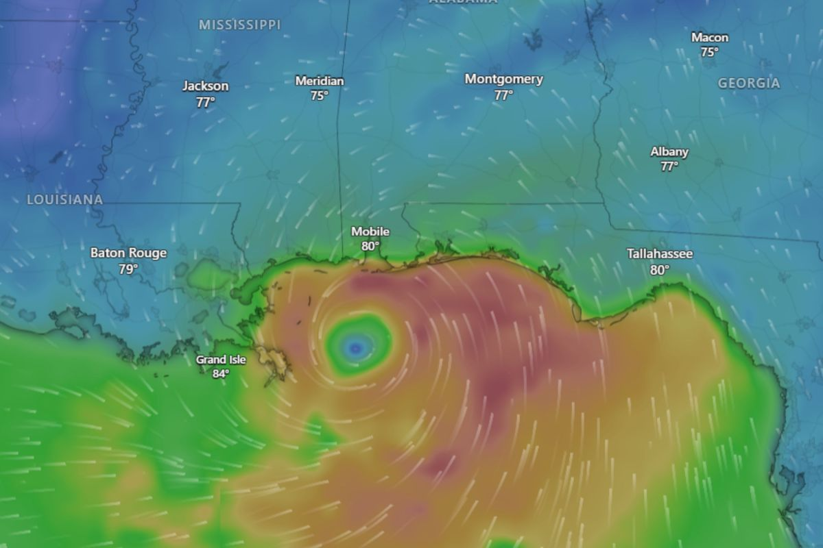 Tropical Storm Bertha Makes US Landfall: Live Tracker Maps Shows Impact Image
