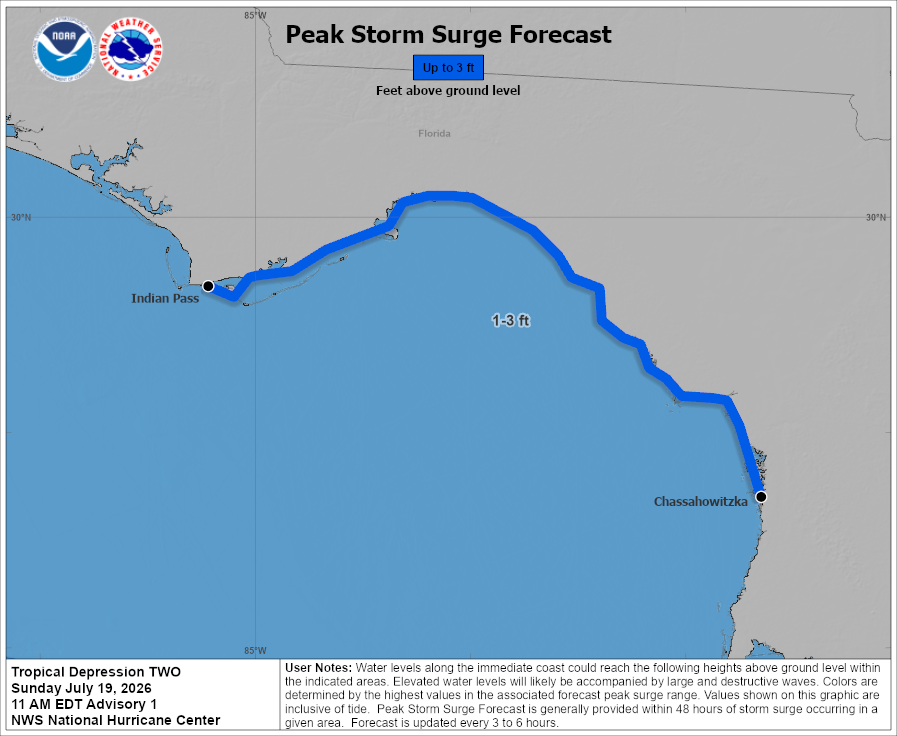 Tropical Depression Two - Peak Storm Surge