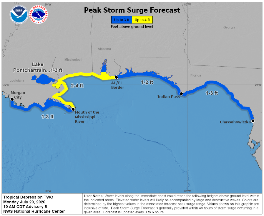 Tropical Depression Two - Peak Storm Surge